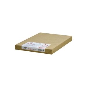 (まとめ)Nagatoya OA大札和紙 ナ-857 A4 白 250枚【×2セット】