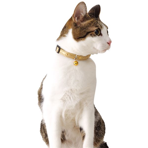 (まとめ)CAT COLLAR ゴージャスカラー ゴールド【×3セット】 (猫用品/首輪)