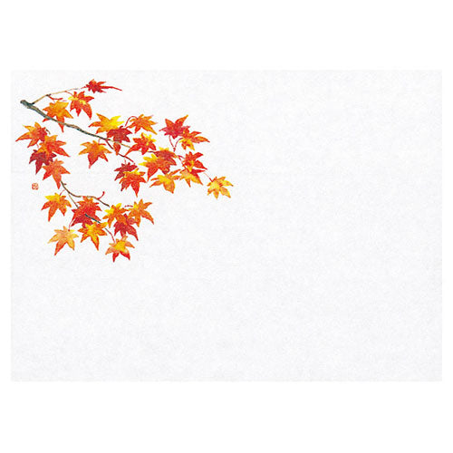 ヤマコー 用美 業務用 遠赤保鮮紙(小)紅葉 (100枚入) yamaco64563