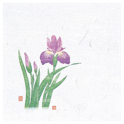 ヤマコー 用美 業務用 4寸OP懐石敷紙 菖蒲 (100枚入) yamaco65112