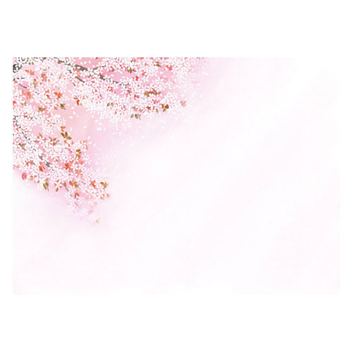 ヤマコー 用美 業務用 尺3四季彩まっと 花雅(はなみやび) 桜 (100枚入) yamaco66451