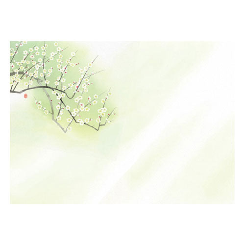 ヤマコー てまひま工房 花雅 おもてなしセット 梅 yamaco88752