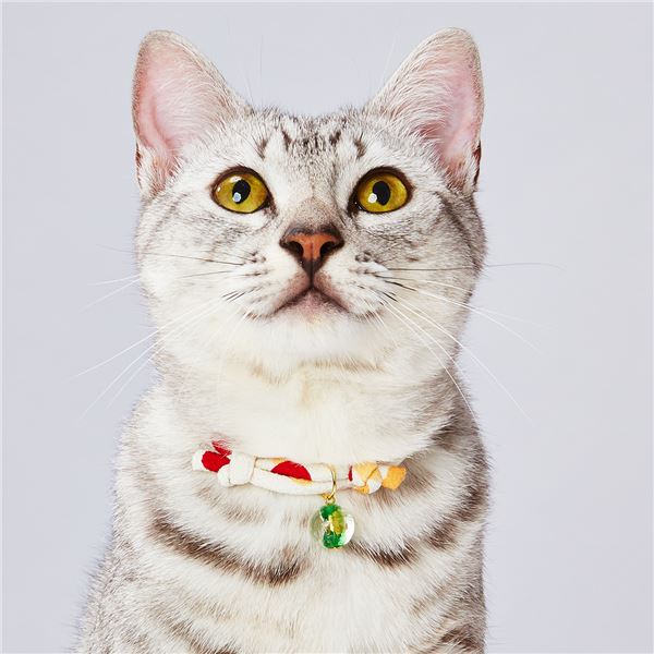 （まとめ）にゃんごころ トンボ玉首輪 白【×3セット】 (猫用品/首輪)