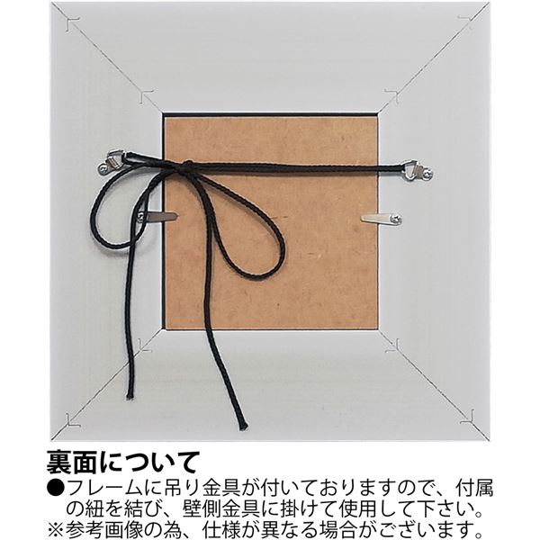 ユーパワー 糸井忠晴 こころの詩アート Mサイズ 「いのちの輝」