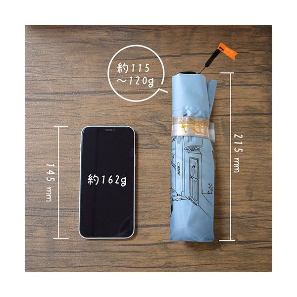 三国 MKN 50cm 折りたたみ傘 軽量コンパクト チェック切継ぎと猫 Tiny mini 5本骨のミニタイプ サックス(ライトブルー) A2112373