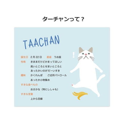 abbi FRIENDS ターチャンソフトクリアケース for iPhone 13 遊び ABF21739i13