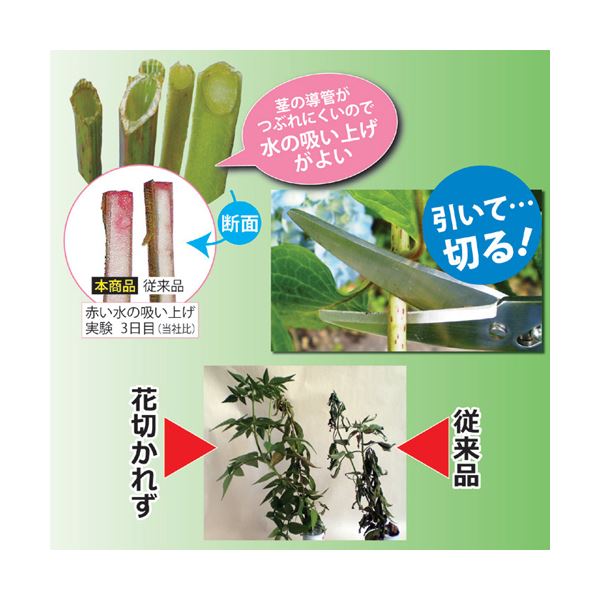 （まとめ）兼松工業 花切専用ハサミ 「花切かれず」 808338【×2セット】