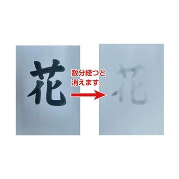 （まとめ）長門屋商店 何度も書ける水筆紙半紙判（240×335mm）黒発色 ナ-SH21 1パック（20枚）【×5セット】