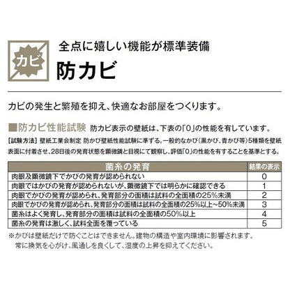 和調 のり無し 壁紙 サンゲツ FE74243 92cm巾 15m巻 日本製 防カビ ホルムアルデヒド対策品 JIS規格 糊無し ウォールペーパー