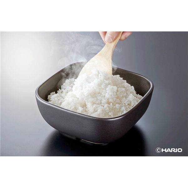 HARIO ご飯釜のおひつ （2合用） GO-2-B-W